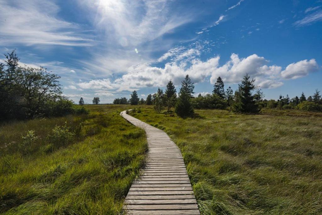 Вилла Le Noir Flohay 30 Pers - Malmedy, Vue, Wellness Экстерьер фото